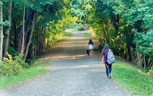 Old Croton Aqueduct Trail | Image 28