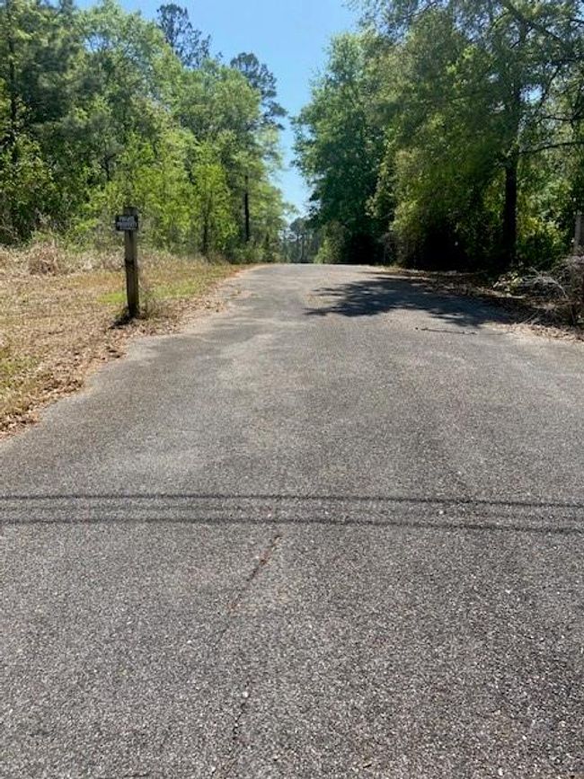 3851 River Rd, Home with 0 bedrooms, 0 bathrooms and null parking in Theodore AL | Image 10