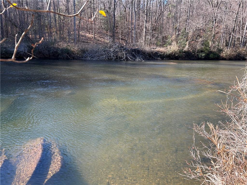 Land in Demorest 5
