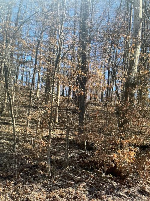 0 Wyatt Hollow Rd, Big Rock, TN, 37023 | Card Image