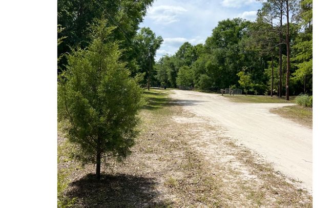 1285 Nw Sophie Dr, House other with 2 bedrooms, 2 bathrooms and 3 parking in White Springs FL | Image 25