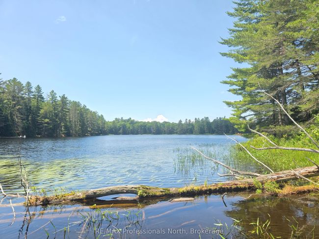 1134 Walker Line Rd, Home with 0 bedrooms, 0 bathrooms and null parking in Algonquin Highlands ON | Image 7