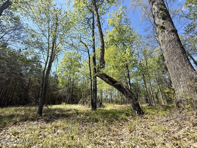 48 Sunset Point Rd, Home with 0 bedrooms, 0 bathrooms and null parking in Belhaven NC | Image 13