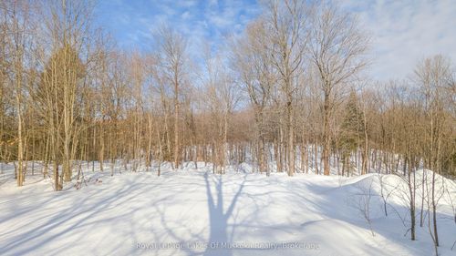 1100 Raymond Rd, Utterson, ON, P0B1M0 | Card Image