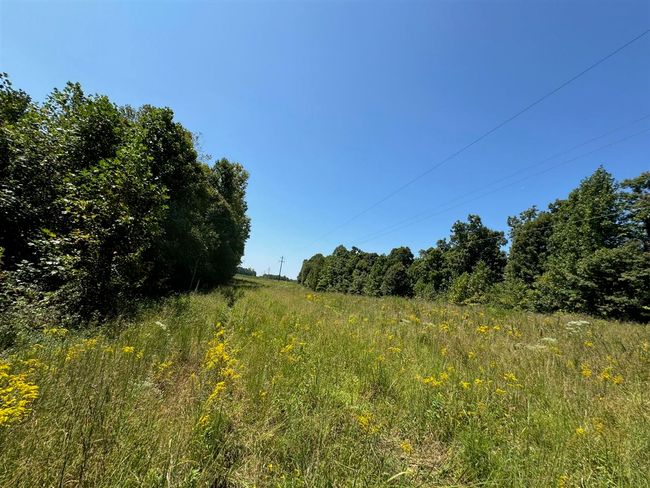 50 Hopewell Church Rd, Home with 3 bedrooms, 2 bathrooms and null parking in Fordsville KY | Image 46