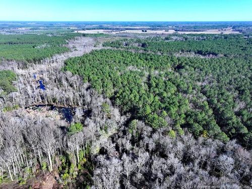 TBD Stuarts Mill Rd, Fairmont, NC, 28340 | Card Image