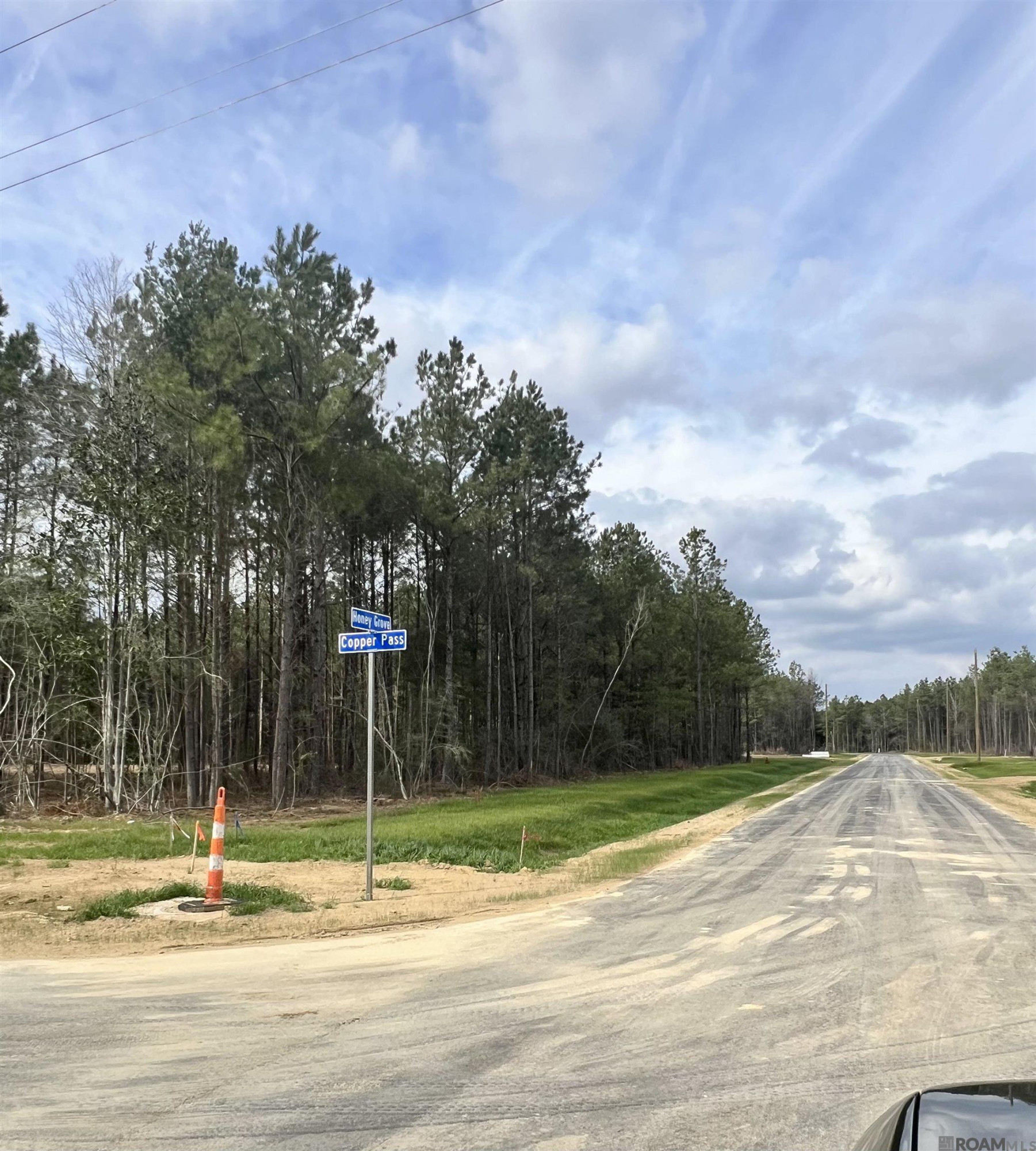 Land in Livingston 5
