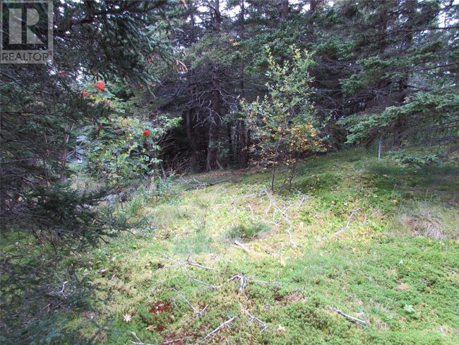 C - 54 C Point Rd, Home with 0 bedrooms, 0 bathrooms and null parking in Chapel Cove NL | Image 7