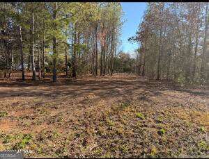 Land in Macon