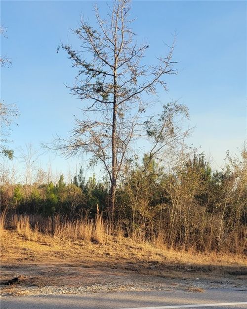 00 S Main St, Tuskegee, AL, 36083 | Card Image