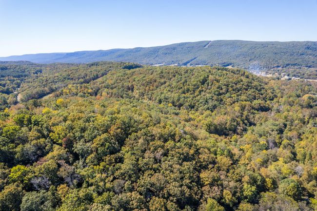 61243 Stone Cave Loop, Home with 0 bedrooms, 0 bathrooms and null parking in Dunlap TN | Image 9