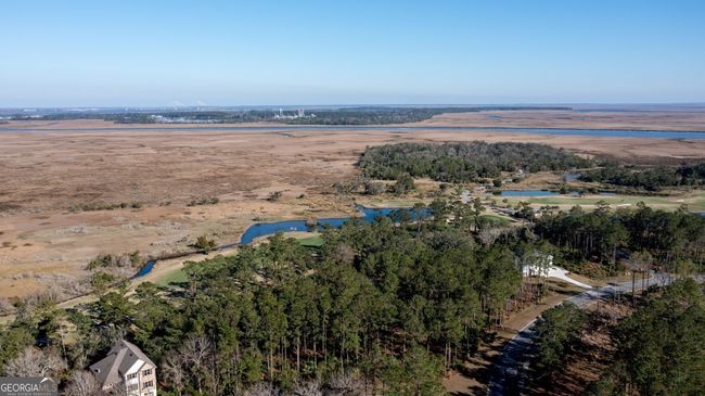V/L 48 Sanctuary Cove No Street Suffix, Home with 0 bedrooms, 0 bathrooms and null parking in Waverly GA | Image 5