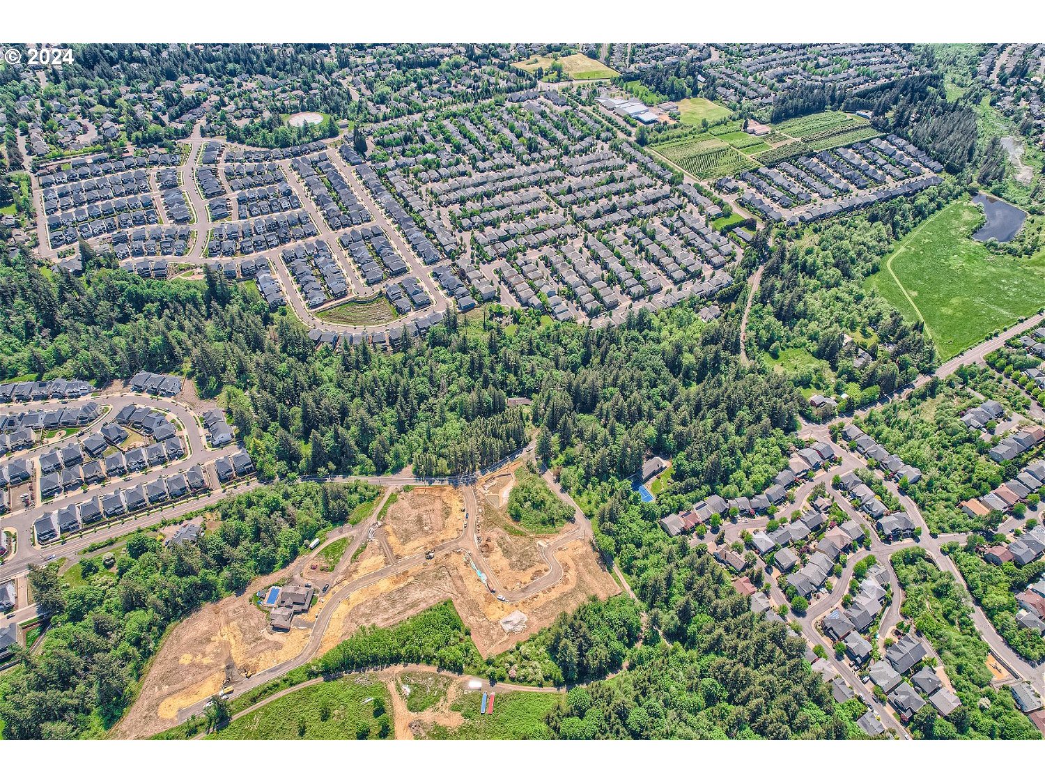 Land in Portland 4