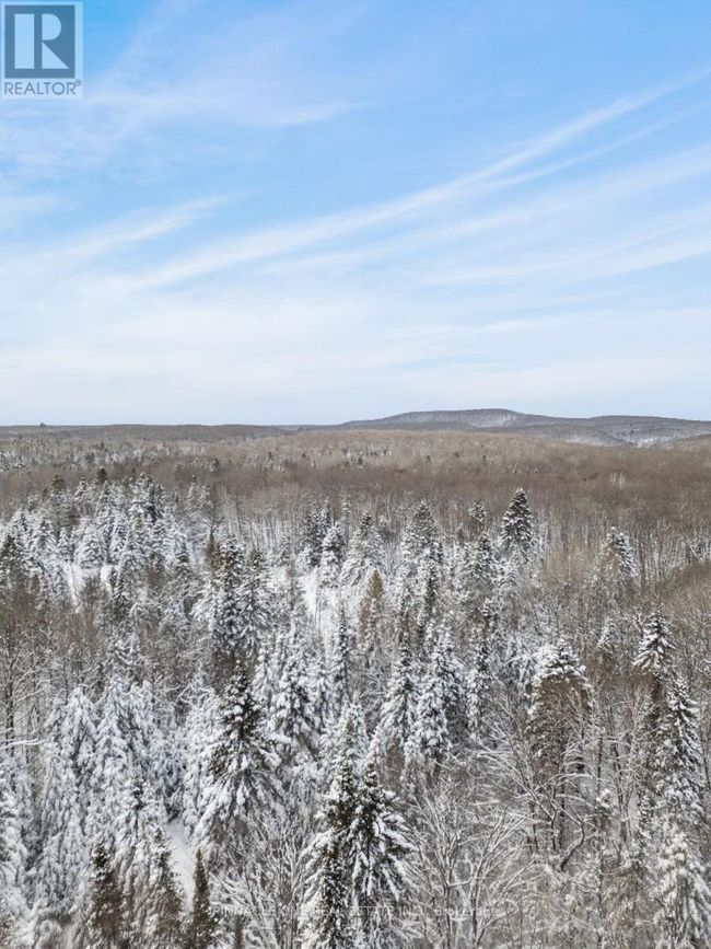 12626 County Rd 503 Road, Home with 0 bedrooms, 0 bathrooms and null parking in Highlands East (Monmouth) ON | Image 5