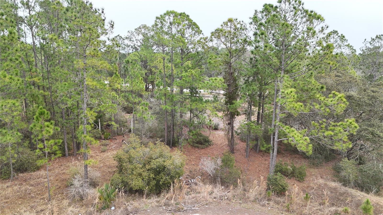 Land in KISSIMMEE 2
