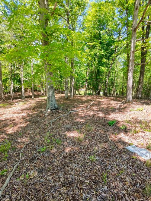 0 Four Seasons Dr, Smithville, TN, 37166 | Card Image