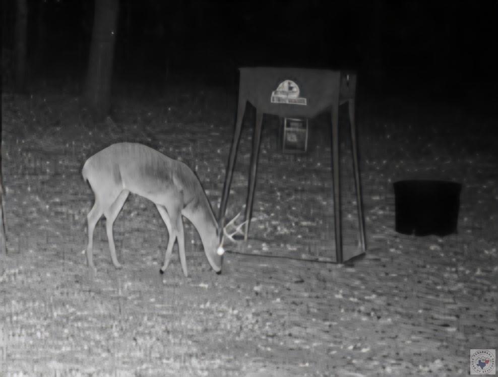 Land in DeKalb 4