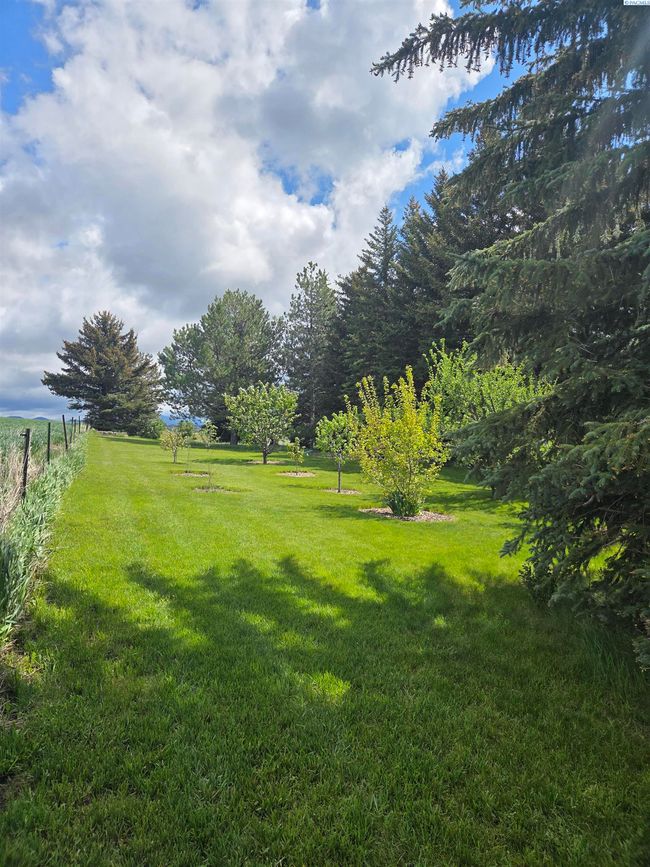 6302 Sand Rd, Home with 4 bedrooms, 3 bathrooms and null parking in Pullman WA | Image 45