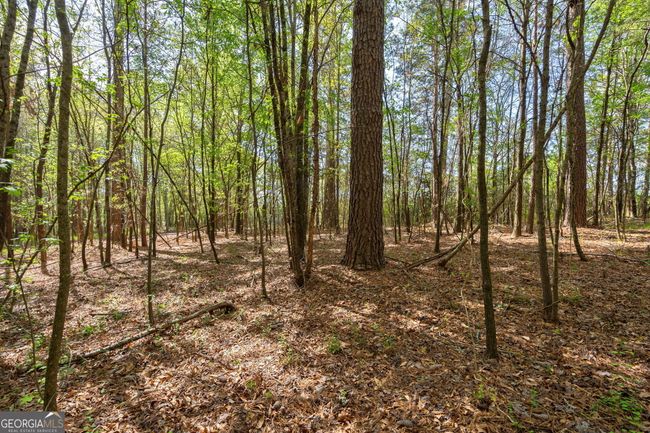 0 Skull Shoals Rd, Home with 0 bedrooms, 0 bathrooms and null parking in Washington GA | Image 8