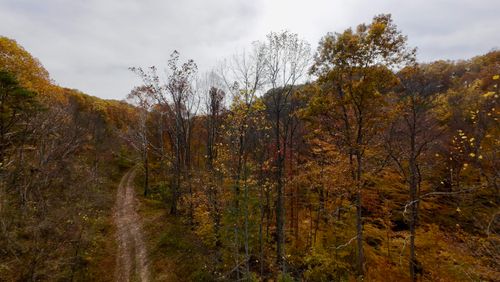 0 S Highway 3, Louisa, KY, 41230 | Card Image