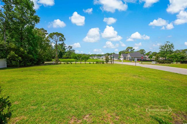 View of green lawn | Image 37
