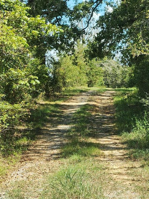 17454 Fm 542, Oakwood, TX, 75855 | Card Image