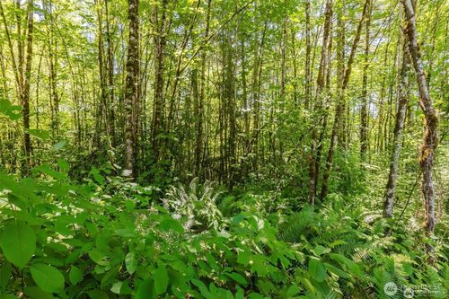 11 Lot Cassie Pl Nw, Poulsbo, WA, 98370 | Card Image