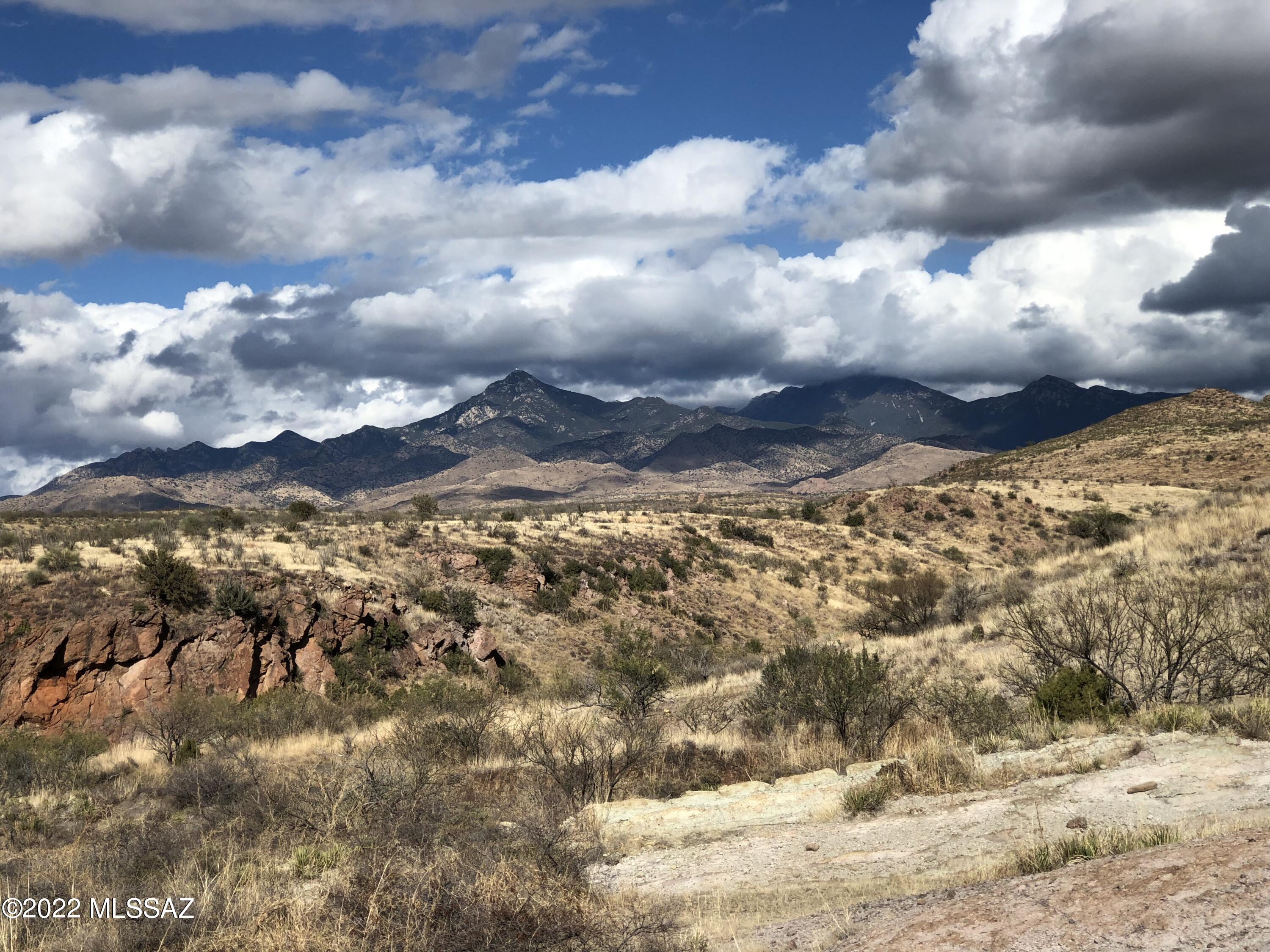 Land in Rio Rico