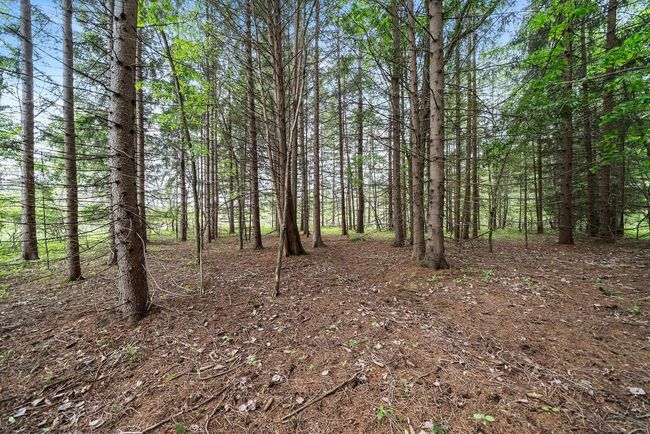 Lt1 County Highway E, Home with 0 bedrooms, 0 bathrooms and null parking in Hartford WI | Image 9