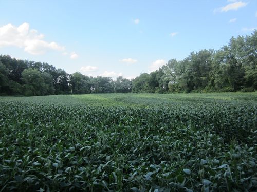 0 Little River Rd, Westfield, MA, 01085 | Card Image