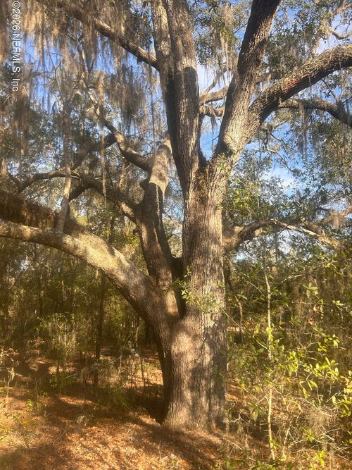 0 West Lake Drive, Hawthorne, FL, 32640 | Card Image