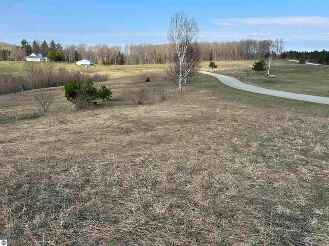 Lots 11 &amp; 12 Hillman Road, Home with 0 bedrooms, 0 bathrooms and null parking in Ellsworth MI | Image 4