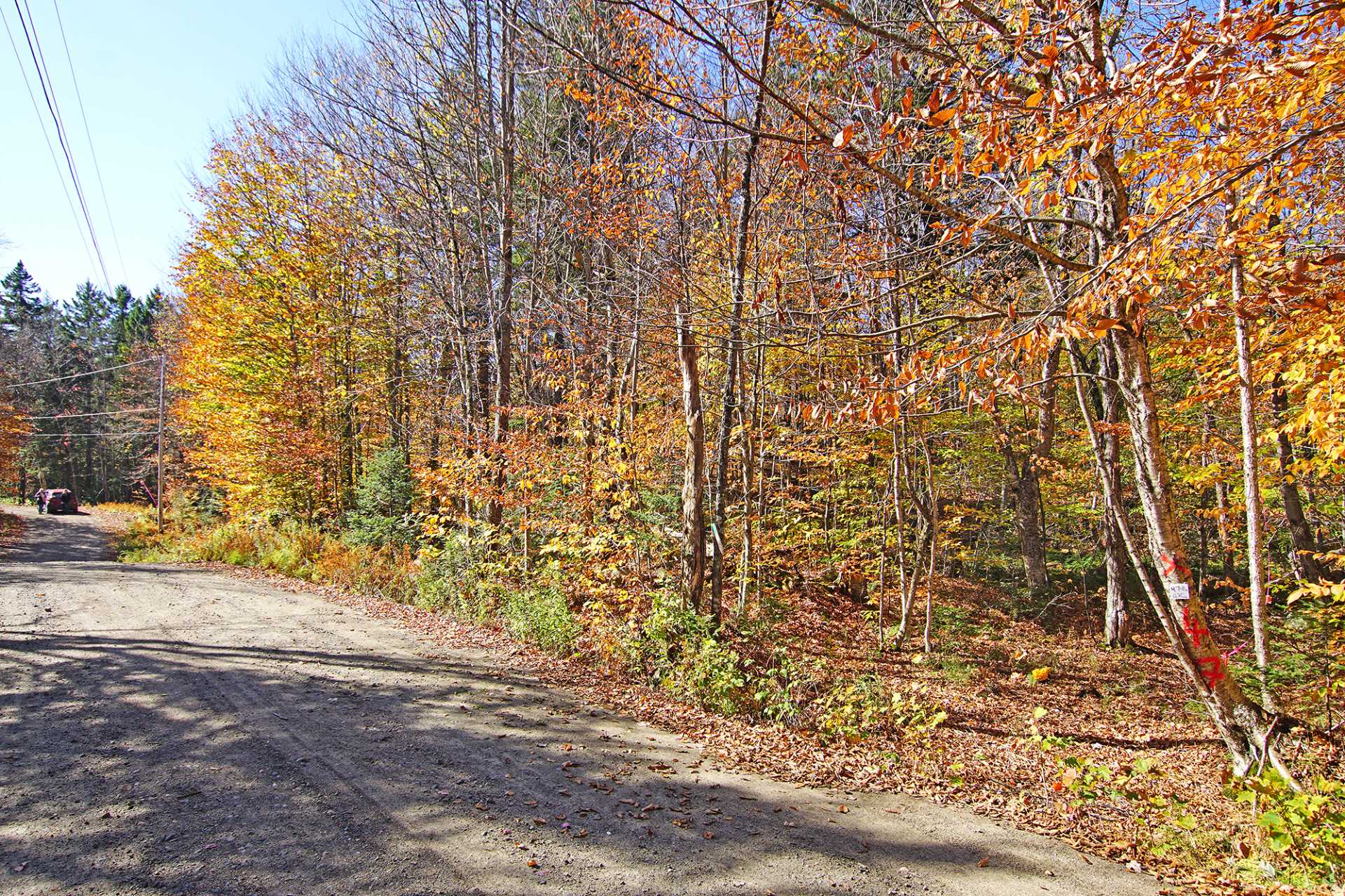 Land in Wentworth