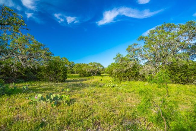 2068 S Laird Rd, Home with 0 bedrooms, 0 bathrooms and null parking in Harper TX | Image 59