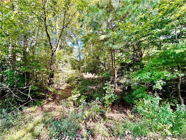 Lot 63 Wilton Coves Dr, Home with 0 bedrooms, 0 bathrooms and null parking in Hartfield VA | Image 5