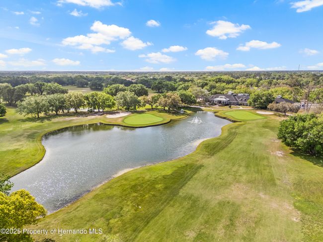 4210 Silver Berry Ct, House other with 3 bedrooms, 2 bathrooms and null parking in SPRING HILL FL | Image 47