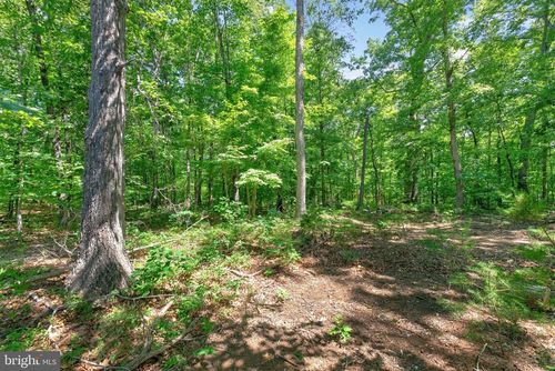 496 Bowlers Mill Run, GORDONSVILLE, VA, 22942-6236 | Card Image