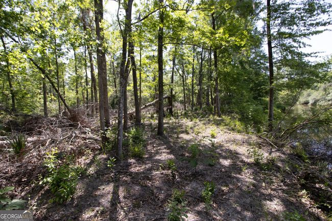 LOT 20 The River Landing, Home with 0 bedrooms, 0 bathrooms and null parking in Midville GA | Image 31