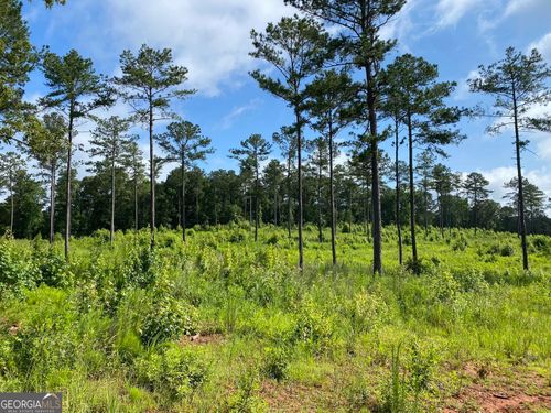 LOT 3 Giles Rd, Forsyth, GA, 31029-4334 | Card Image