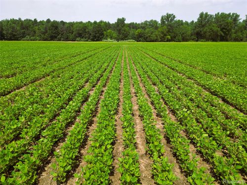 9654 Birch Run Rd, Millington, MI, 48746-9549 | Card Image