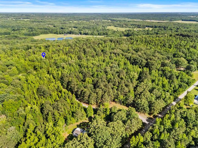 256 Rambo Loop, Home with 0 bedrooms, 0 bathrooms and null parking in Searcy AR | Image 9