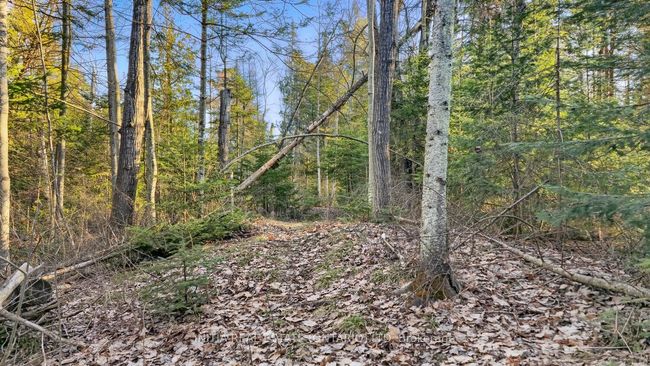 450 Sauble Falls Pky, Home with 0 bedrooms, 0 bathrooms and null parking in Sauble Beach ON | Image 35