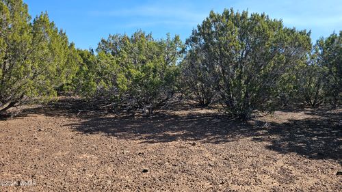 co-41 Acr 3119, Vernon, AZ, 85940-4560 | Card Image