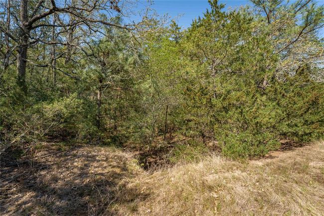 5611 S Us Highway 77, Home with 0 bedrooms, 0 bathrooms and null parking in Warda TX | Image 8