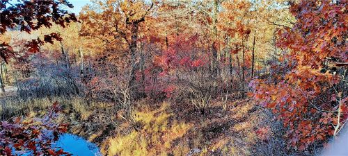 10349 Madison 3605, Kingston, AR, 72742 | Card Image