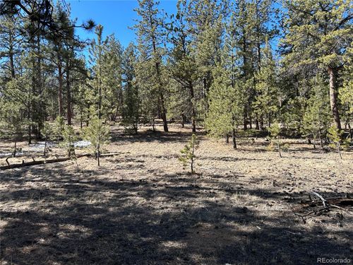 147 Haystack Rd, Hartsel, CO, 80449-8500 | Card Image