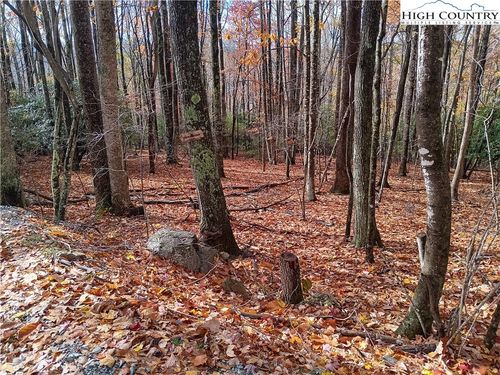 205 Rhododendron Dr, Beech Mountain, NC, 28604-8189 | Card Image