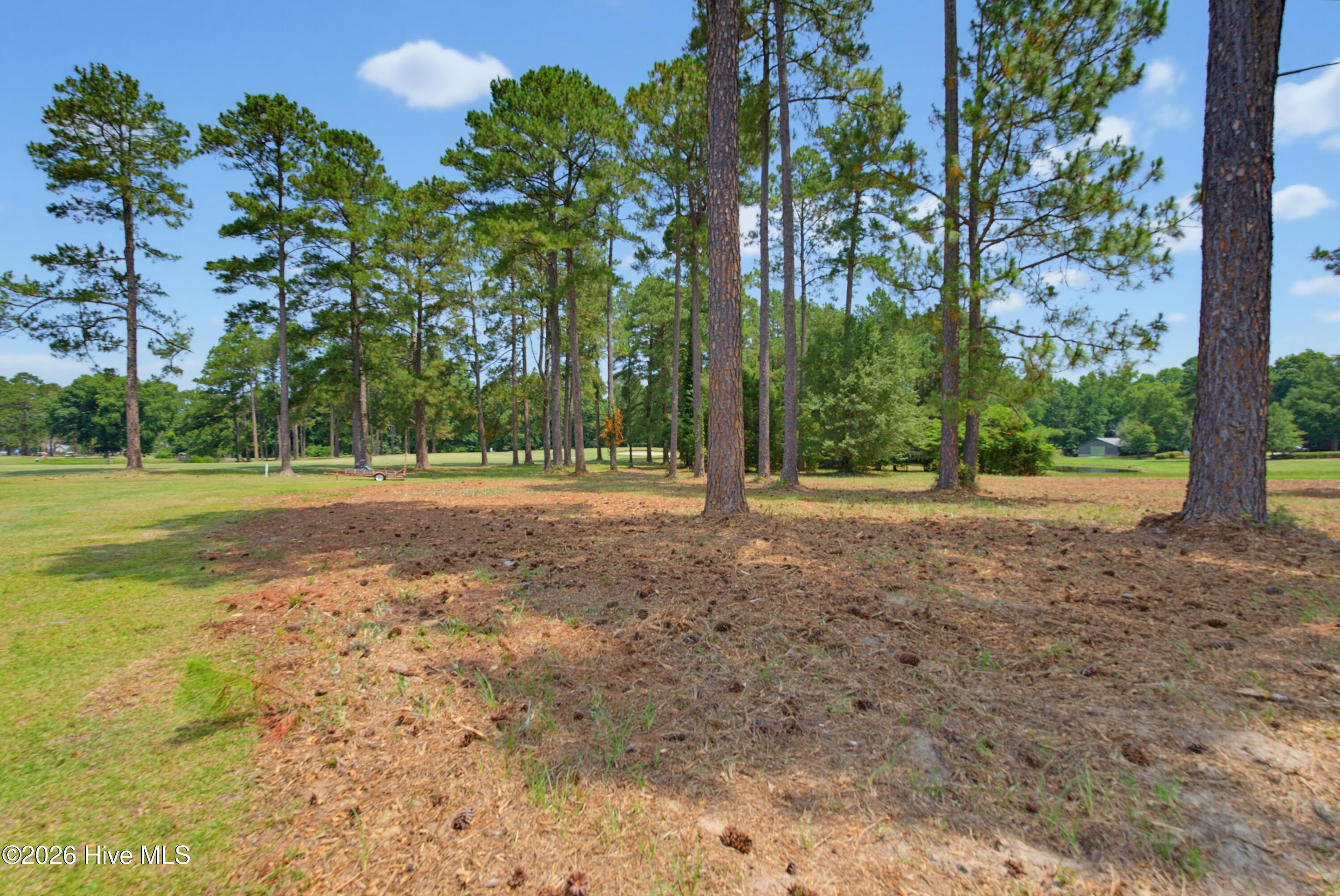 Land in Whiteville 4