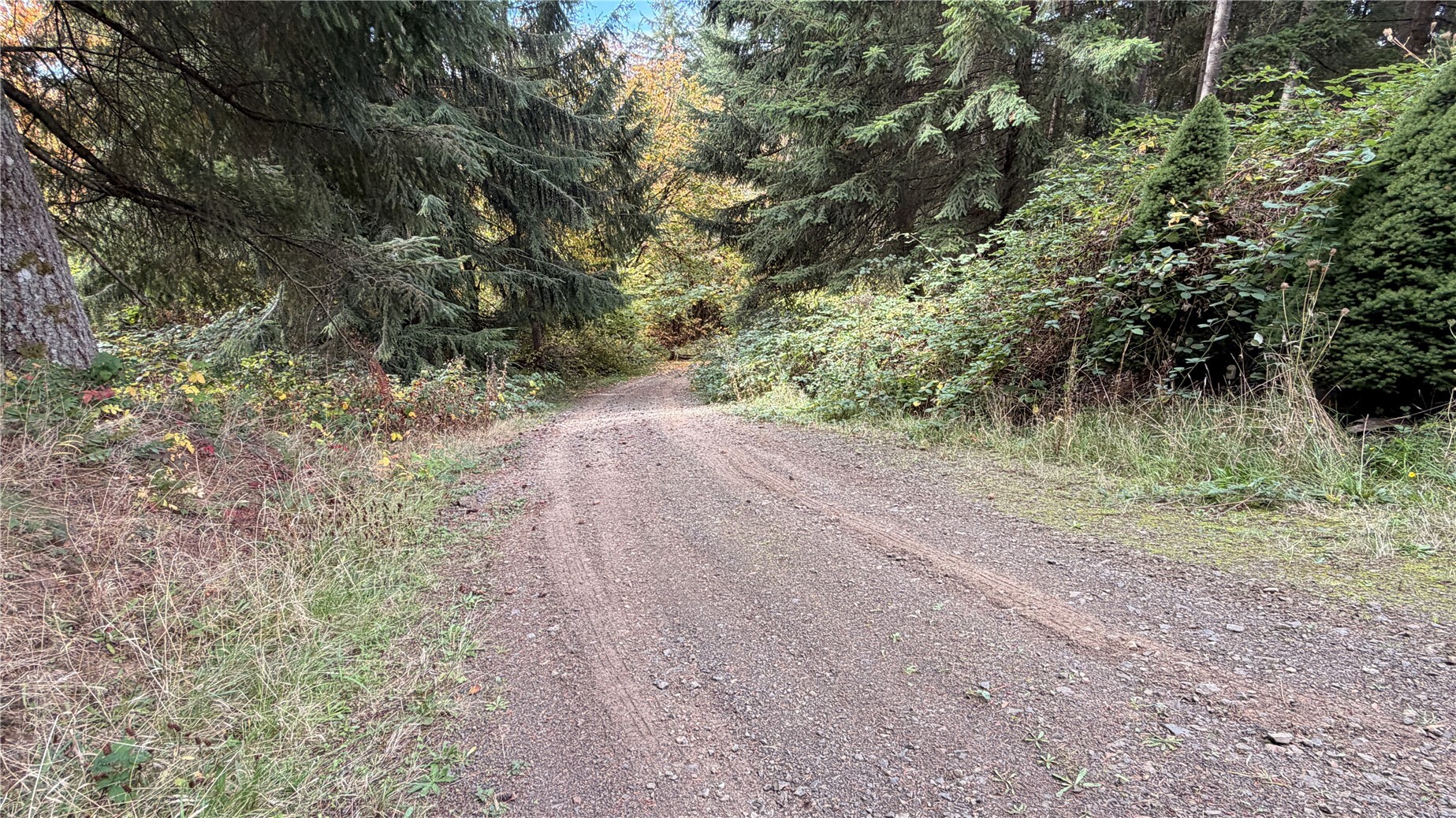 Land in Kalama