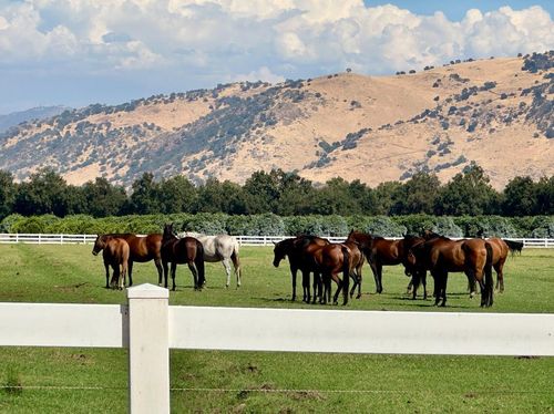 17281 E Belmont Ave, Sanger, CA, 93657-9690 | Card Image